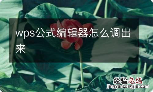 wps公式编辑器怎么调出来