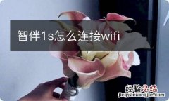 智伴1s怎么连接wifi