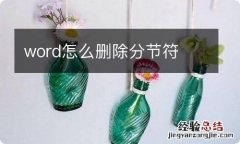 word怎么删除分节符