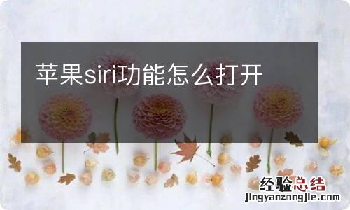 苹果siri功能怎么打开