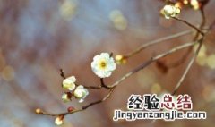 24节气立春是几月份 24节气中的立春和春分分别是什么时候