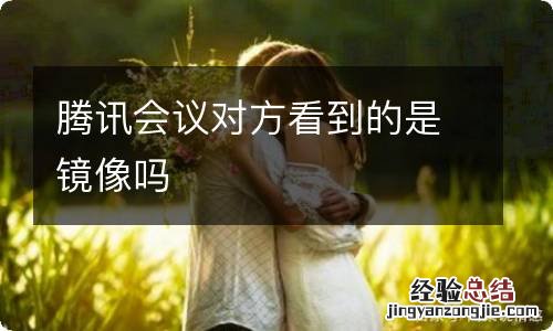 腾讯会议对方看到的是镜像吗