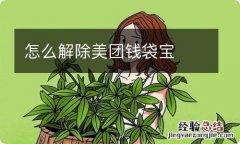 怎么解除美团钱袋宝