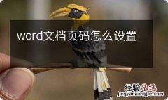 word文档页码怎么设置