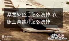 桑葚染色后怎么洗掉 衣服上桑葚汁怎么洗掉