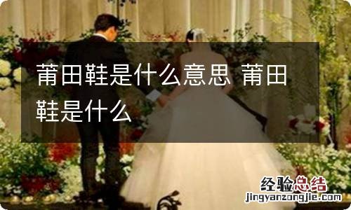莆田鞋是什么意思 莆田鞋是什么