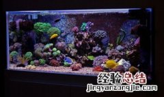 水族箱水垢怎样清理 如何清理水族箱水垢