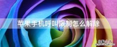 Iphone呼叫限制怎么解除 iPhone手机呼叫限制怎么解除