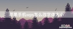 iPhone手机wps怎么改字体大小