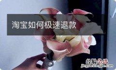 淘宝如何极速退款