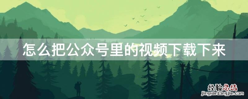 怎么把公众号里的视频下载下来 怎么把公众号里的视频下载下来看