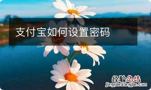 支付宝如何设置密码