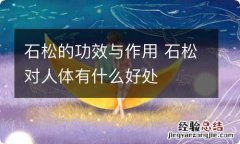 石松的功效与作用 石松对人体有什么好处