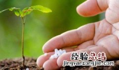 烟灰可以当花肥用吗 烟灰可以当肥料养花吗