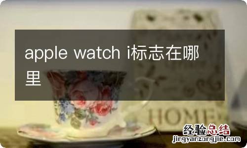 apple watch i标志在哪里