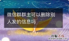 微信群群主可以删除别人发的信息吗