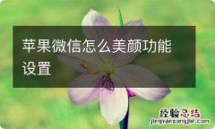 苹果微信怎么美颜功能设置