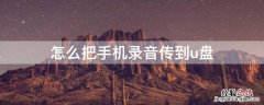 怎么把手机录音传到u盘里 怎么把手机录音传到u盘