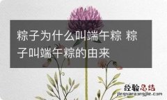 粽子为什么叫端午粽 粽子叫端午粽的由来