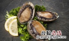 鲜鲍鱼死了怎么保存 死鲍鱼保存方法