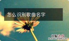 怎么识别歌曲名字