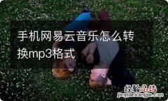 手机网易云音乐怎么转换mp3格式