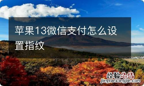 苹果13微信支付怎么设置指纹