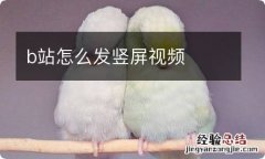 b站怎么发竖屏视频