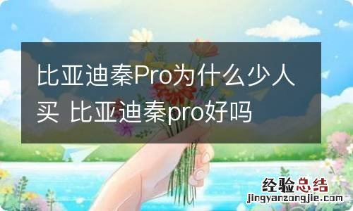 比亚迪秦Pro为什么少人买 比亚迪秦pro好吗