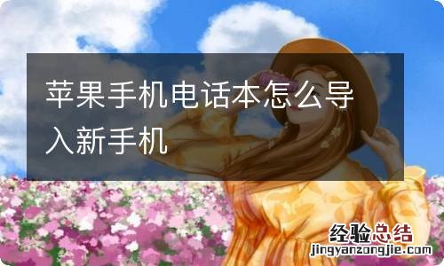 苹果手机电话本怎么导入新手机