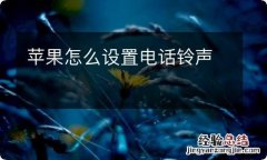 苹果怎么设置电话铃声