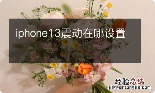 iphone13震动在哪设置