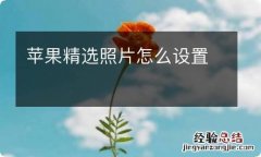 苹果精选照片怎么设置