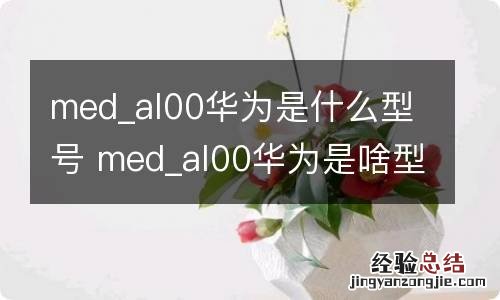 med_al00华为是什么型号 med_al00华为是啥型号