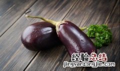 关于茄子的简单介绍 关于茄子的基本介绍