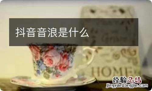 抖音音浪是什么