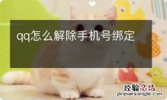 qq怎么解除手机号绑定