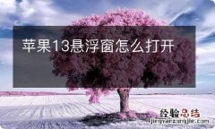 苹果13悬浮窗怎么打开