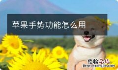 苹果手势功能怎么用