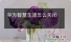 华为智慧生活怎么关闭