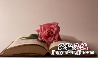 盆栽玫瑰冬天怎么养 玫瑰花冬天怎样养