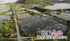 鱼塘防渗处理妙招 鱼塘防渗漏用什么防水材料