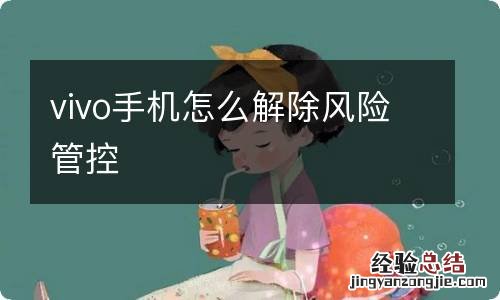 vivo手机怎么解除风险管控