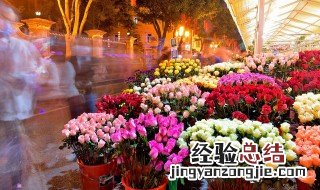 丁香花象征着什么意义 丁香花象征着哪些意义