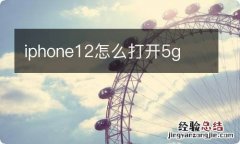 iphone12怎么打开5g