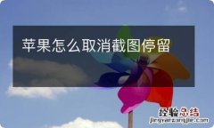 苹果怎么取消截图停留