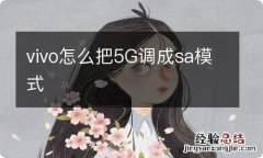 vivo怎么把5G调成sa模式