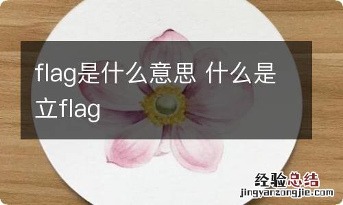 flag是什么意思 什么是立flag