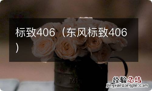 东风标致406 标致406