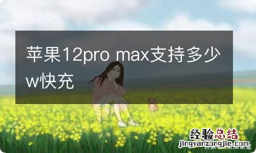 苹果12pro max支持多少w快充